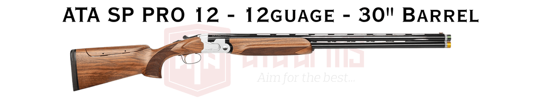 FIRE SALE ATA SP PRO 12