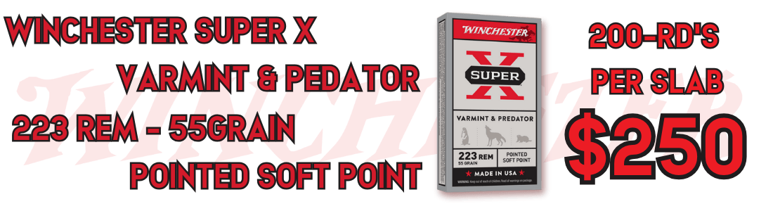 WINCHETER POINTED SOFT POINT