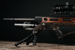 Daystte-Alpha-Wolf-Safari-Hero2